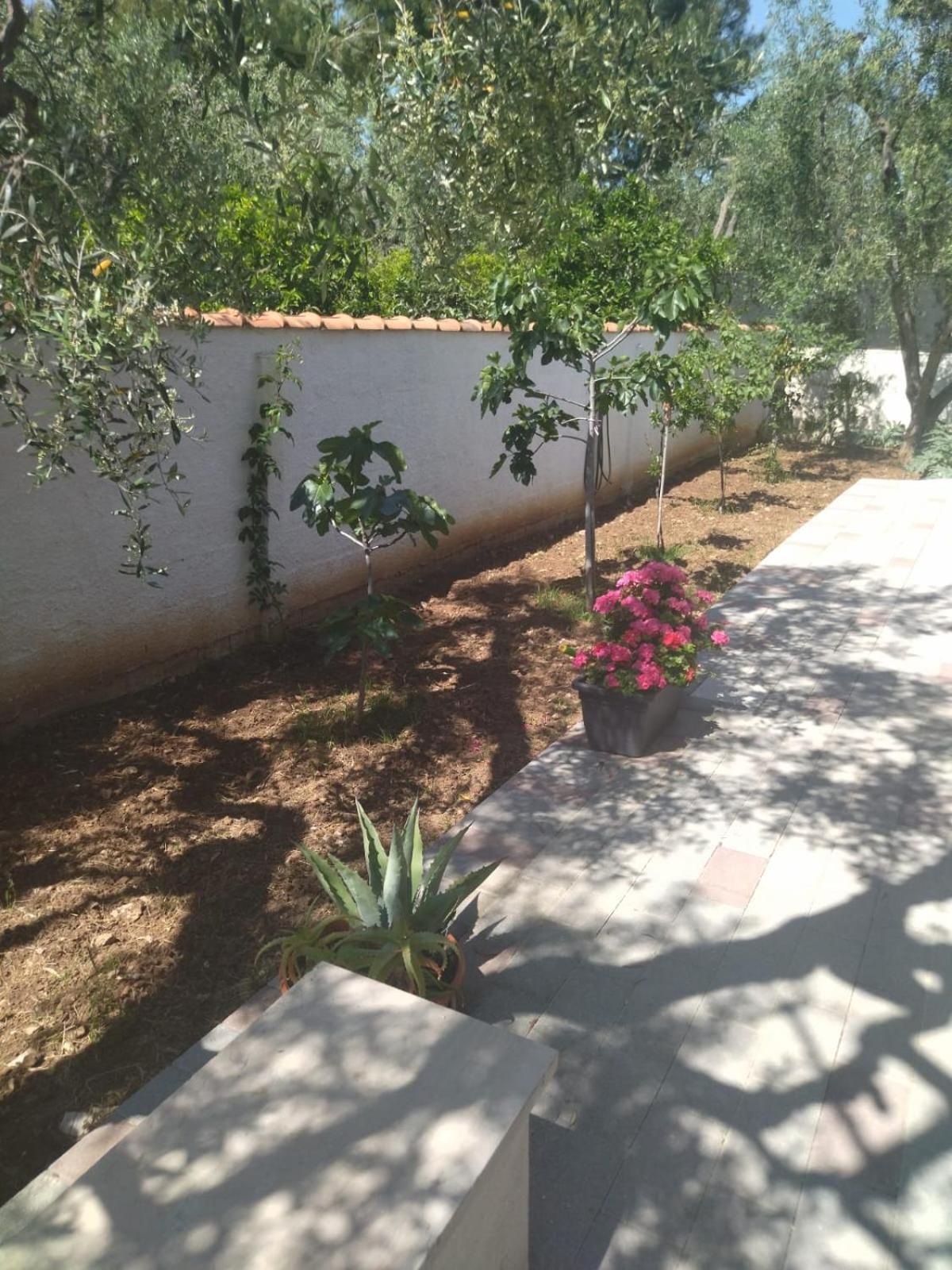 Al Centro Baia Hotel Mattinata Exterior photo